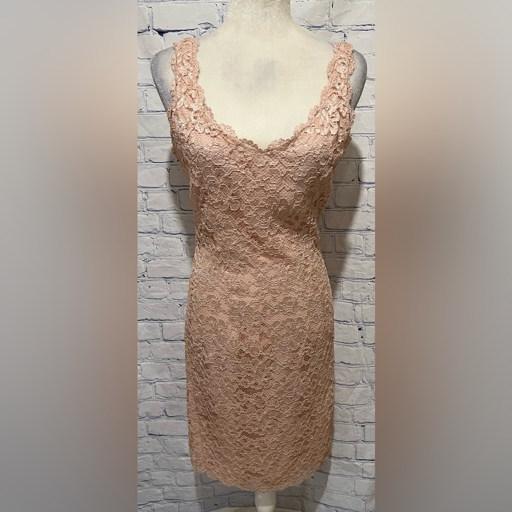80s/90s Vintage Expo Nite Light Pink Lace Body Con Dress Size 10